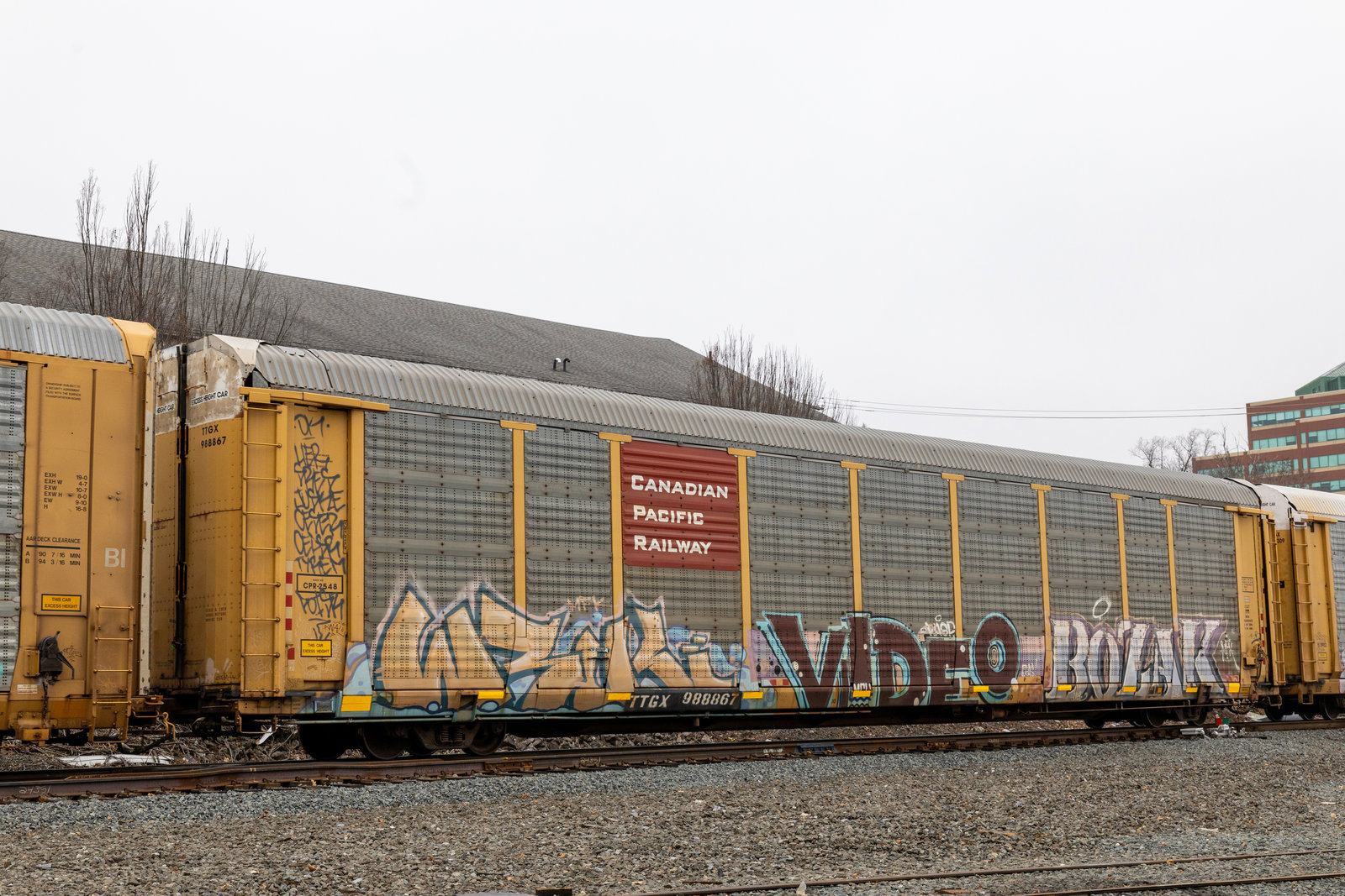 TTGX 988867