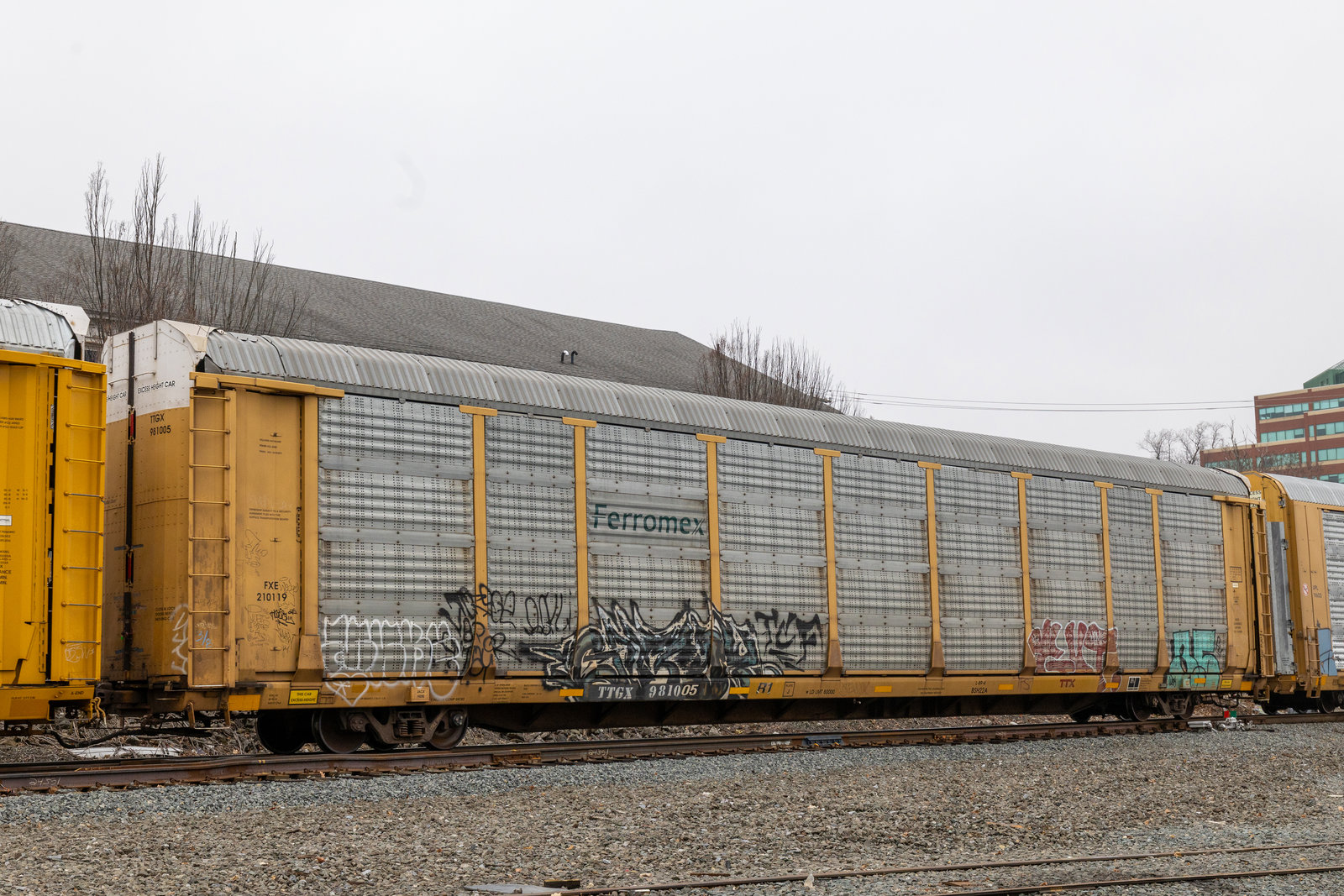 TTGX 981005