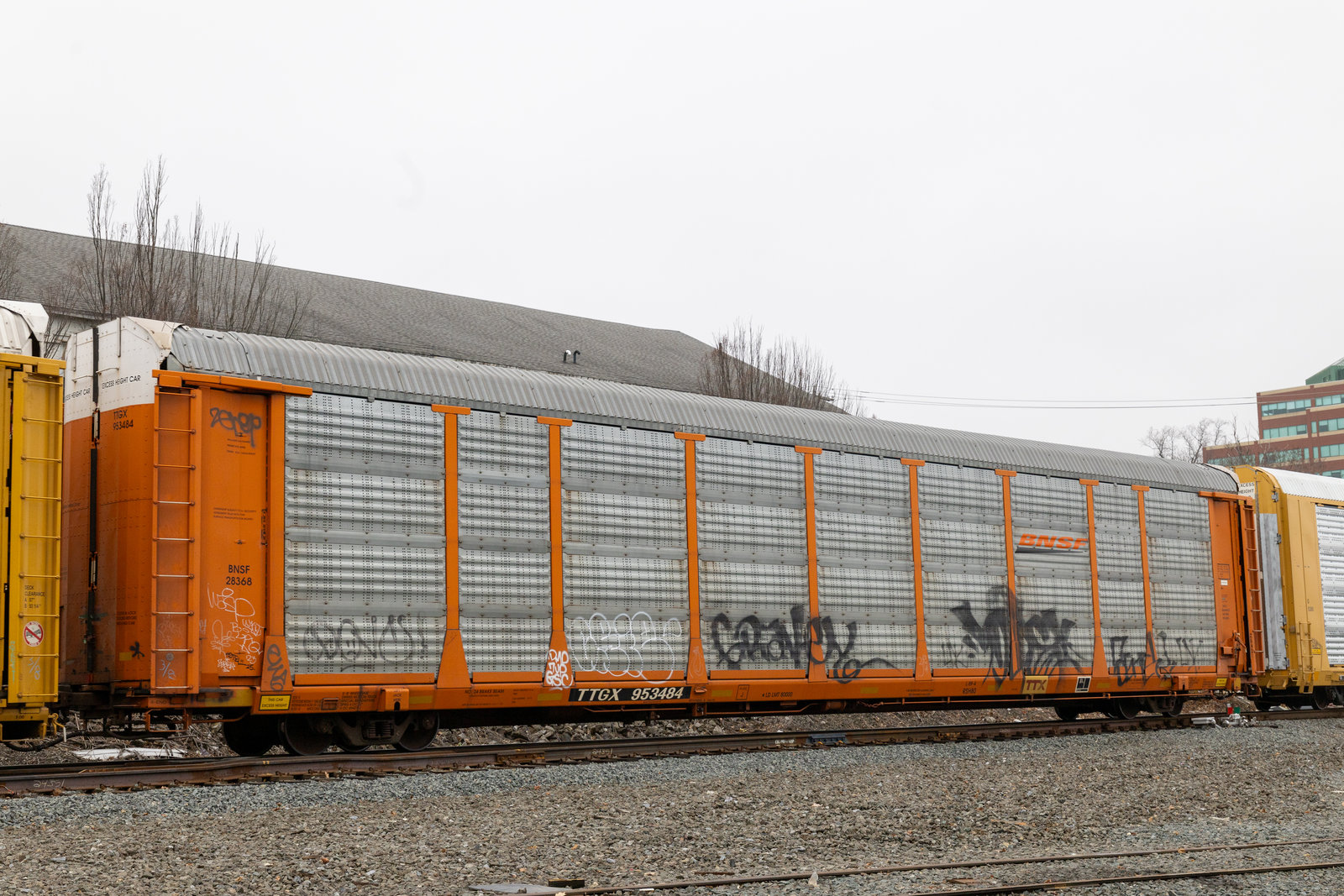 TTGX 953484