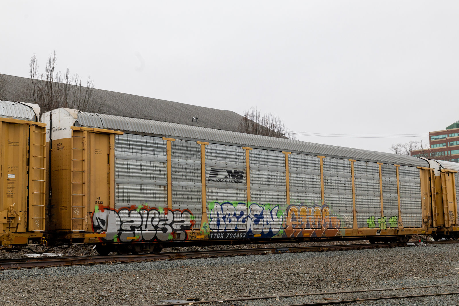 TTGX 704463