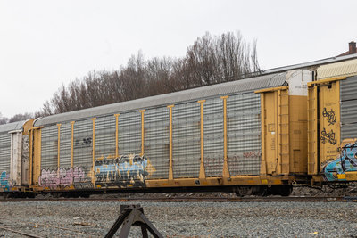 TTGX 704432