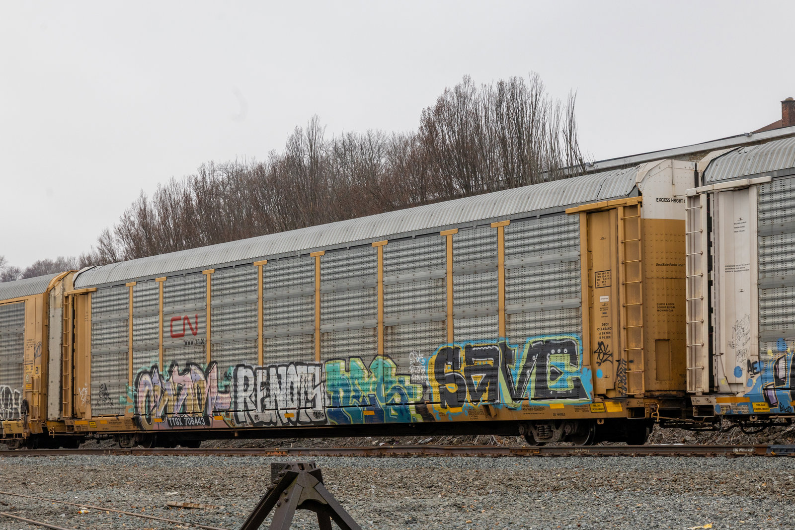 TTGX 706443