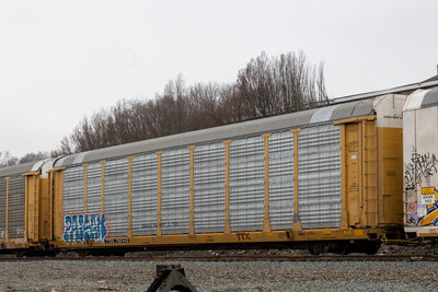 TTGX 702443