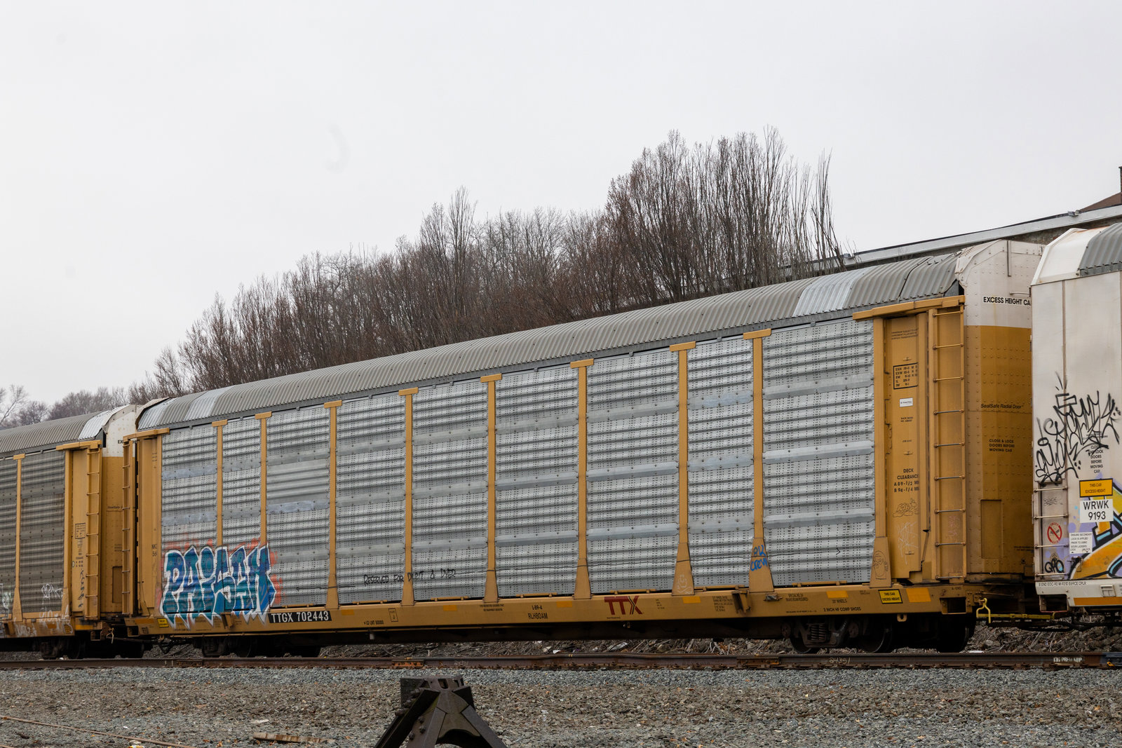 TTGX 702443