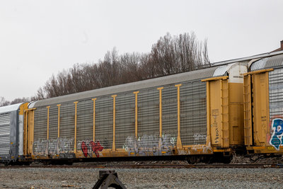 TTGX 712195