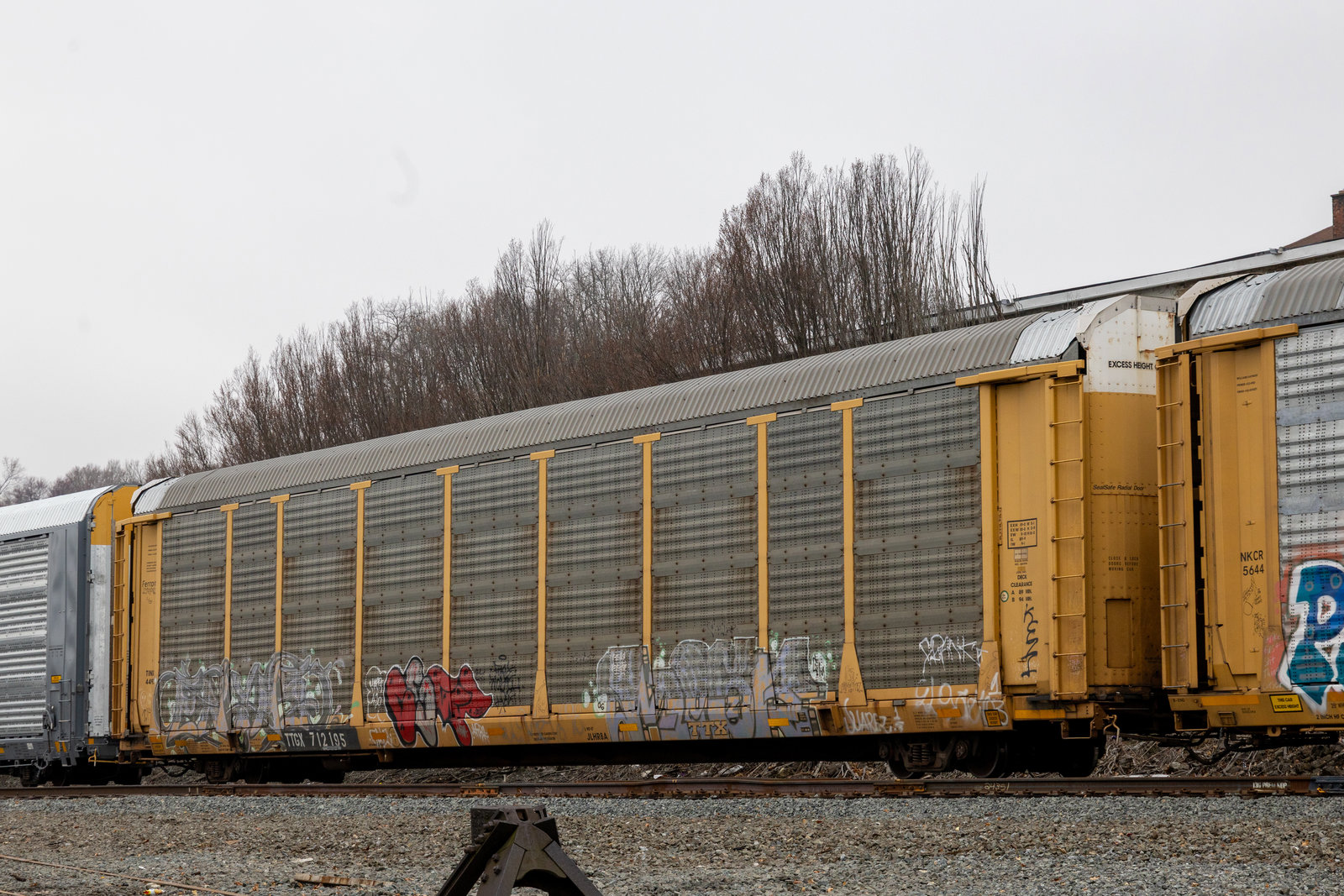 TTGX 712195
