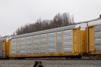 TTGX 702625