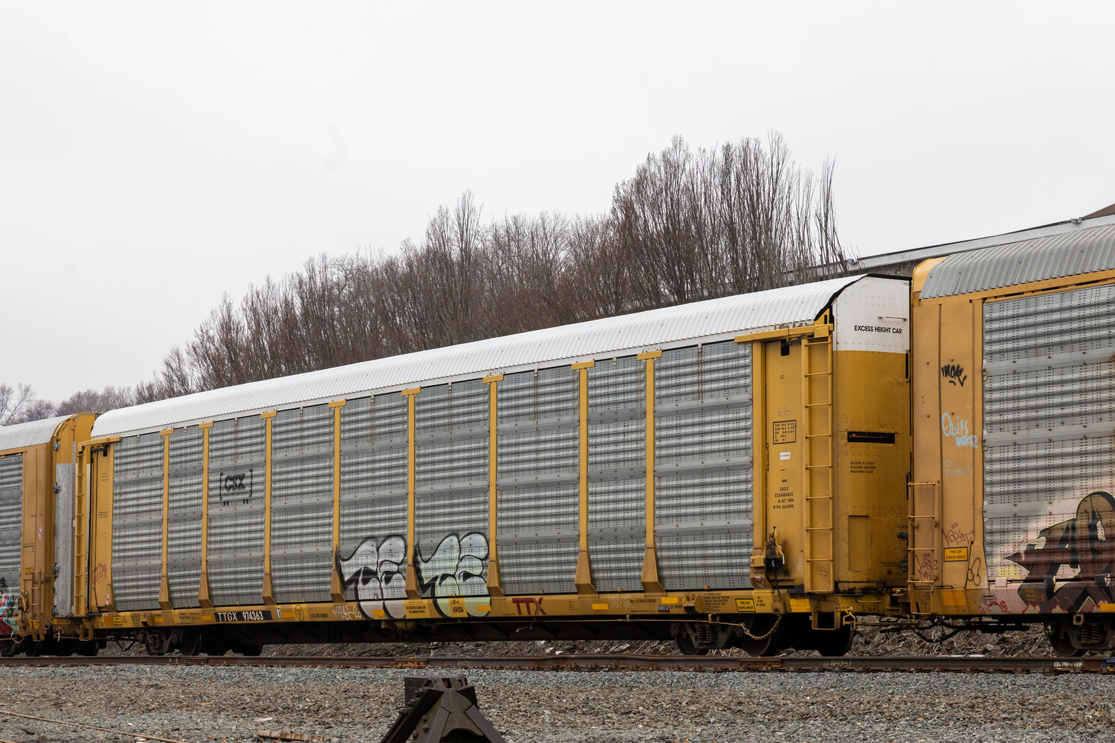 TTGX 974363