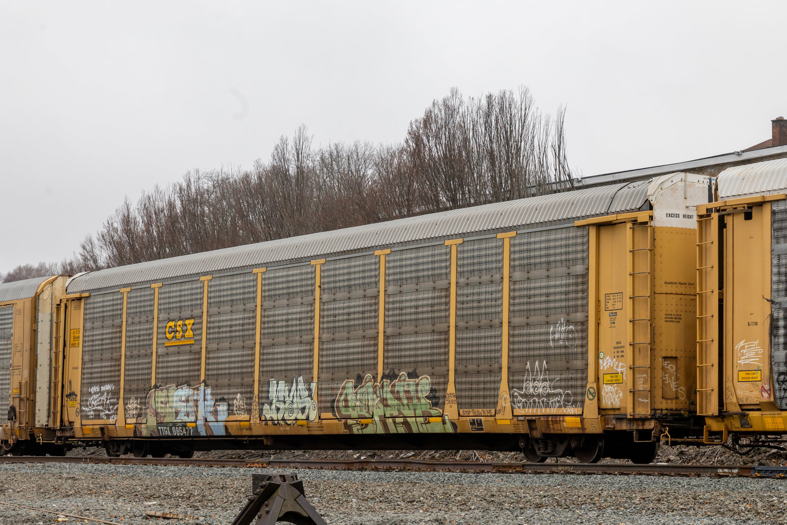 TTGX 985477
