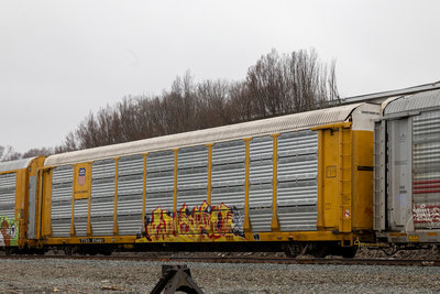 TTGX 974461
