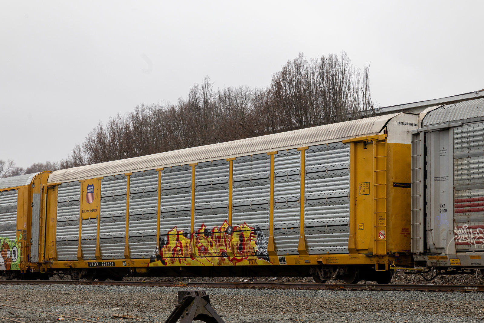TTGX 974461