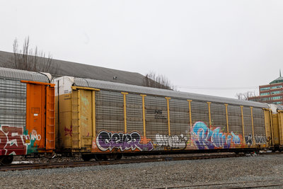 TTGX 985888