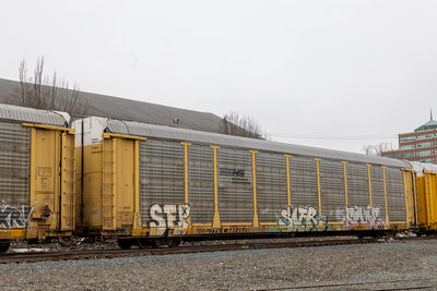 TTGX 985452