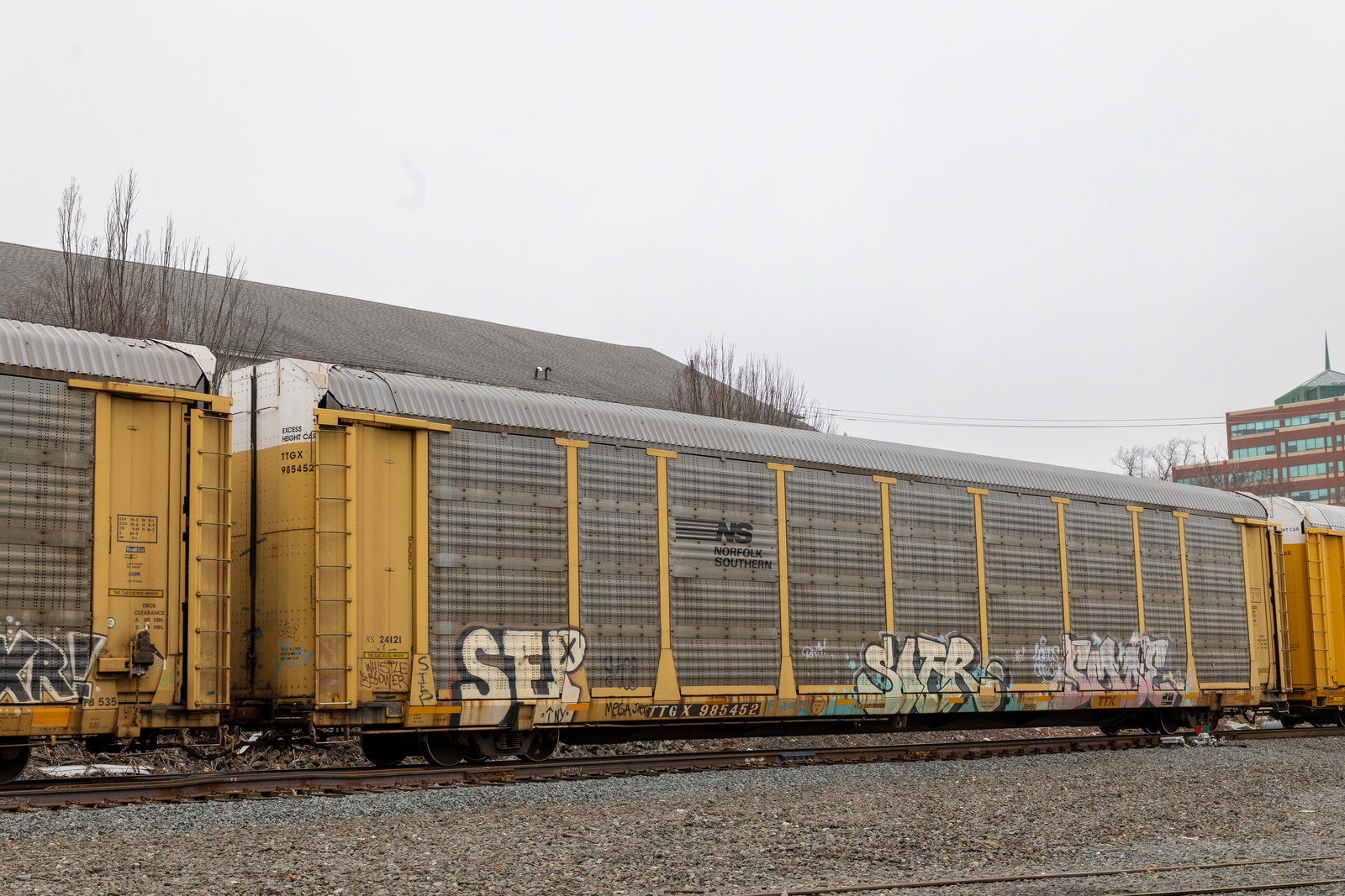 TTGX 985452
