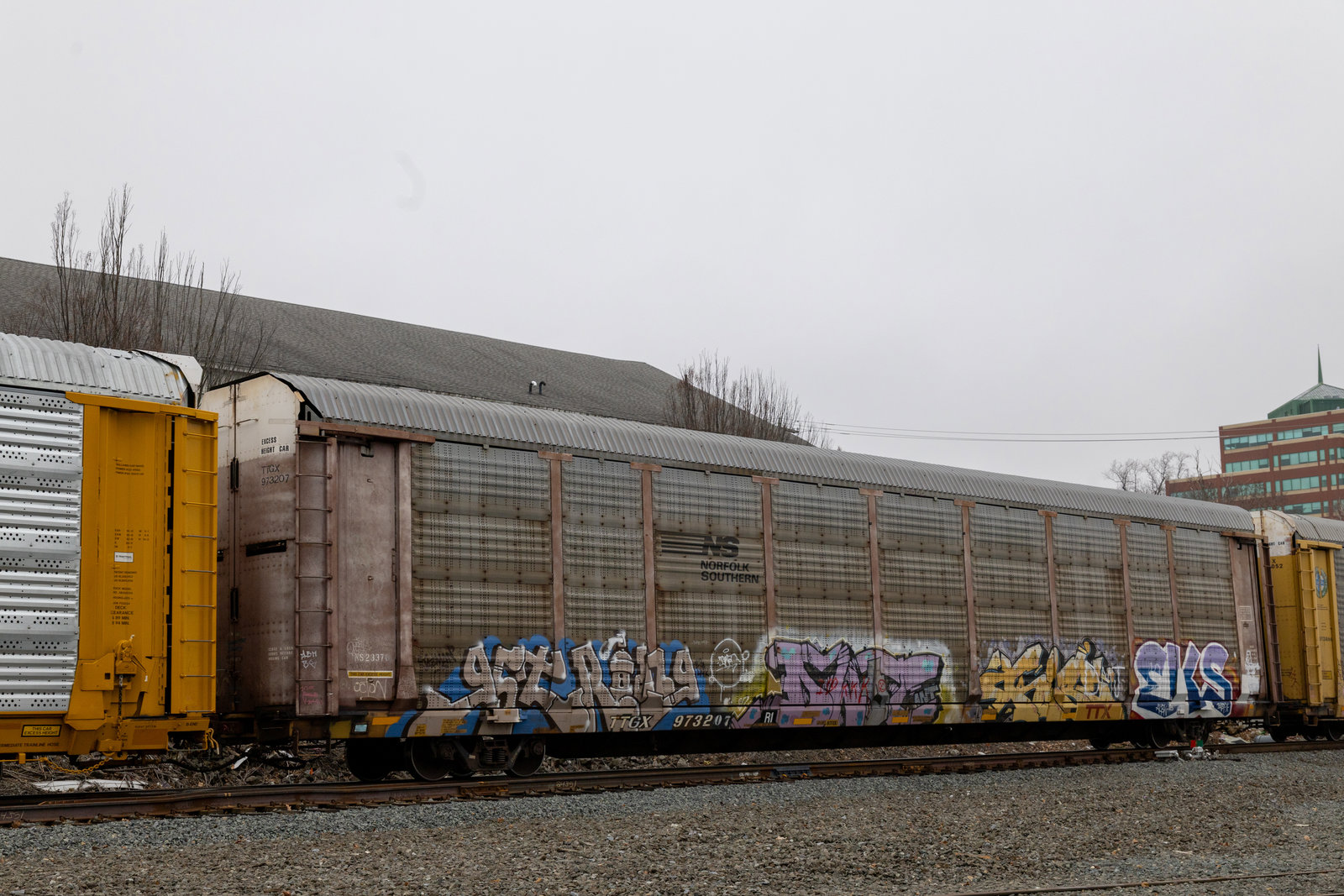 TTGX 973207