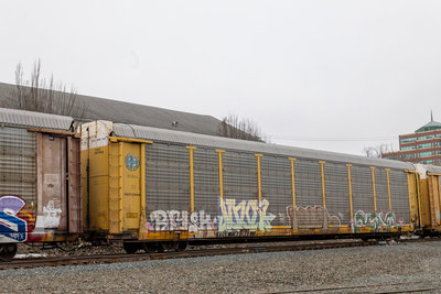TTGX 987052