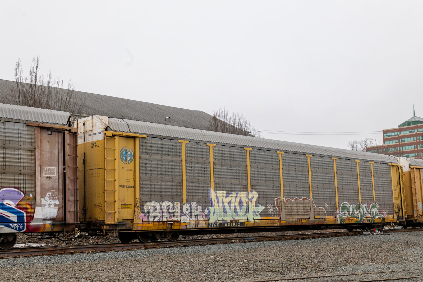 TTGX 987052