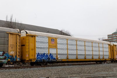 TTGX 981692