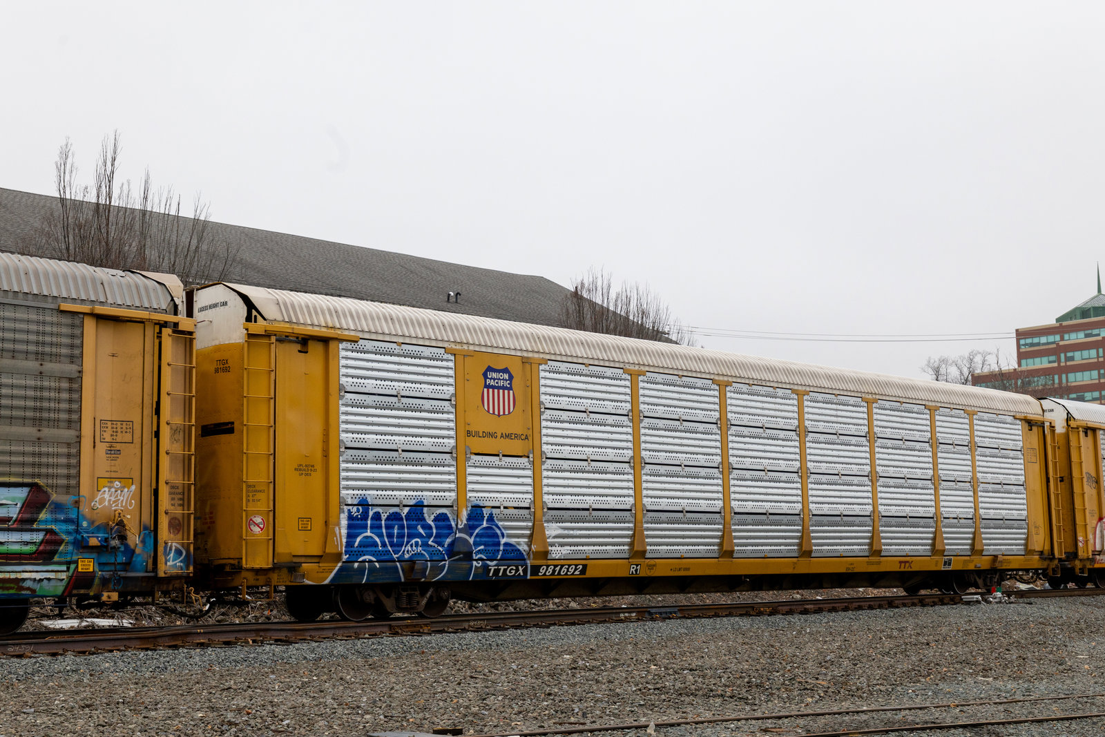 TTGX 981692