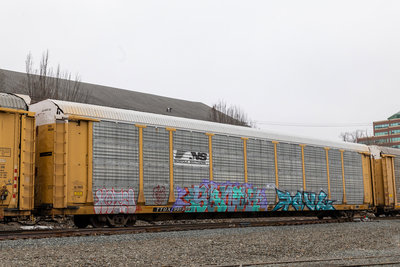 TTGX 981309