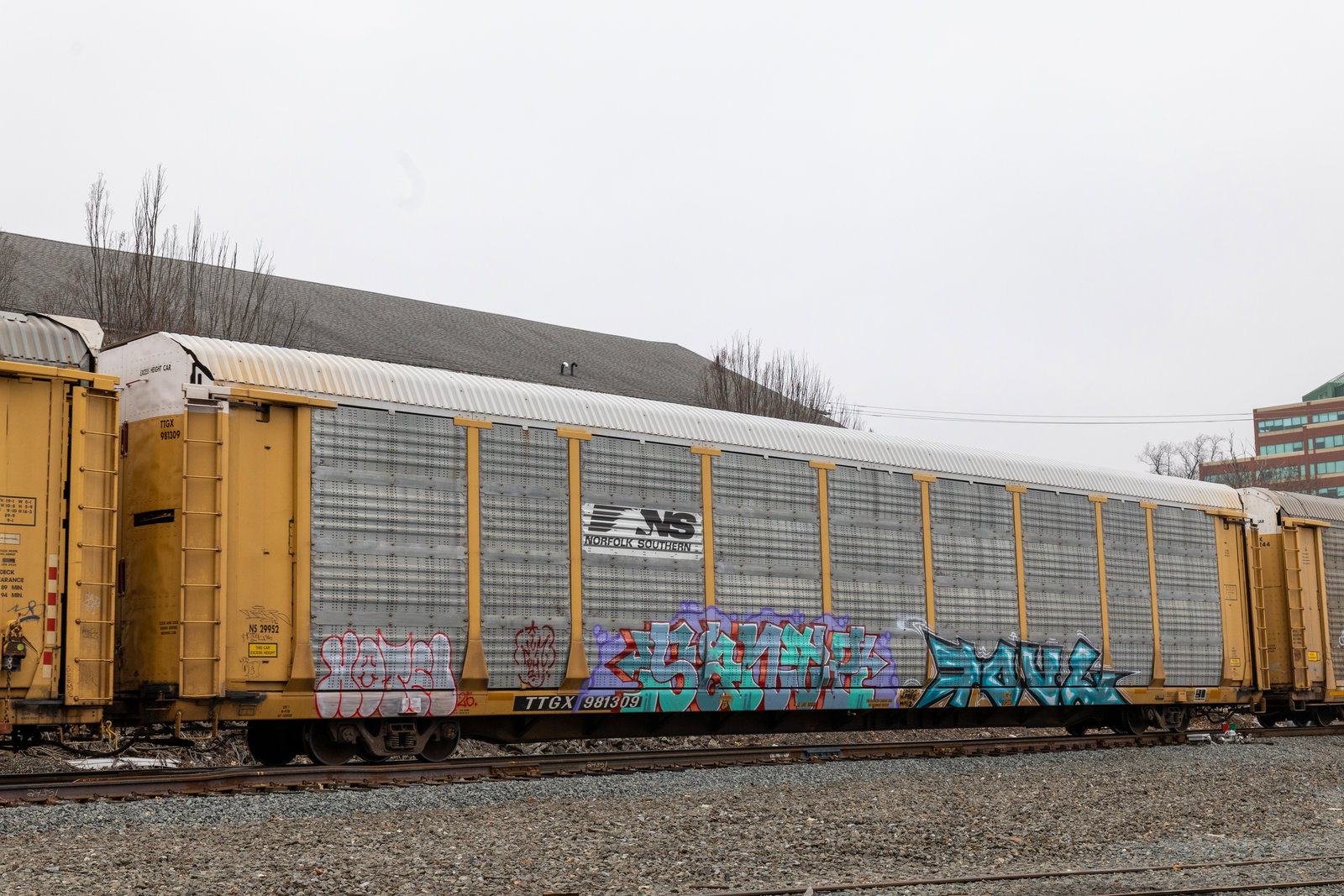 TTGX 981309