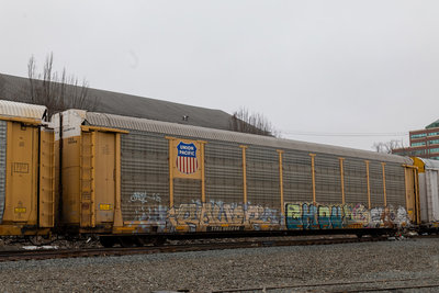 TTGX 988244