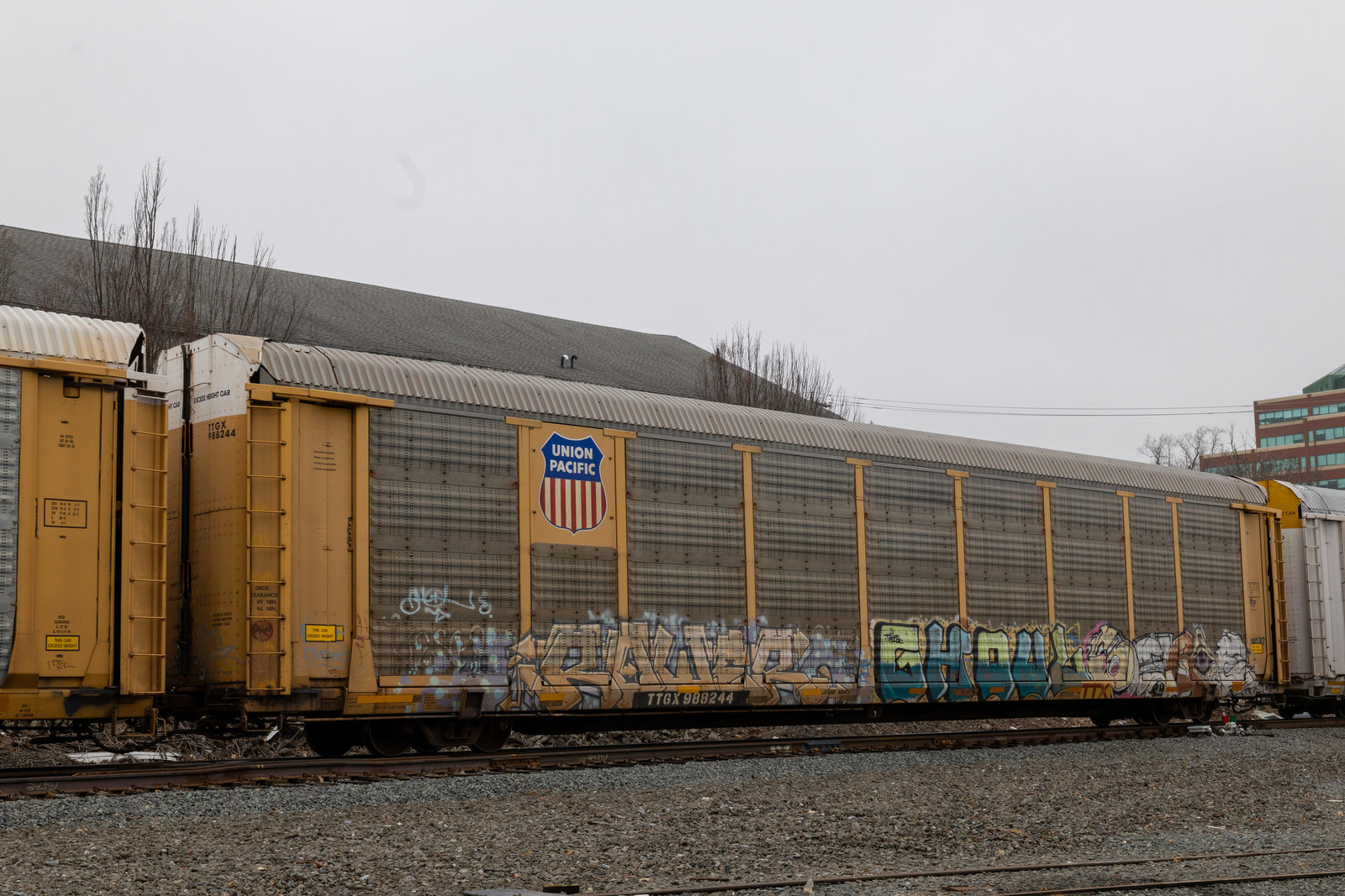TTGX 988244
