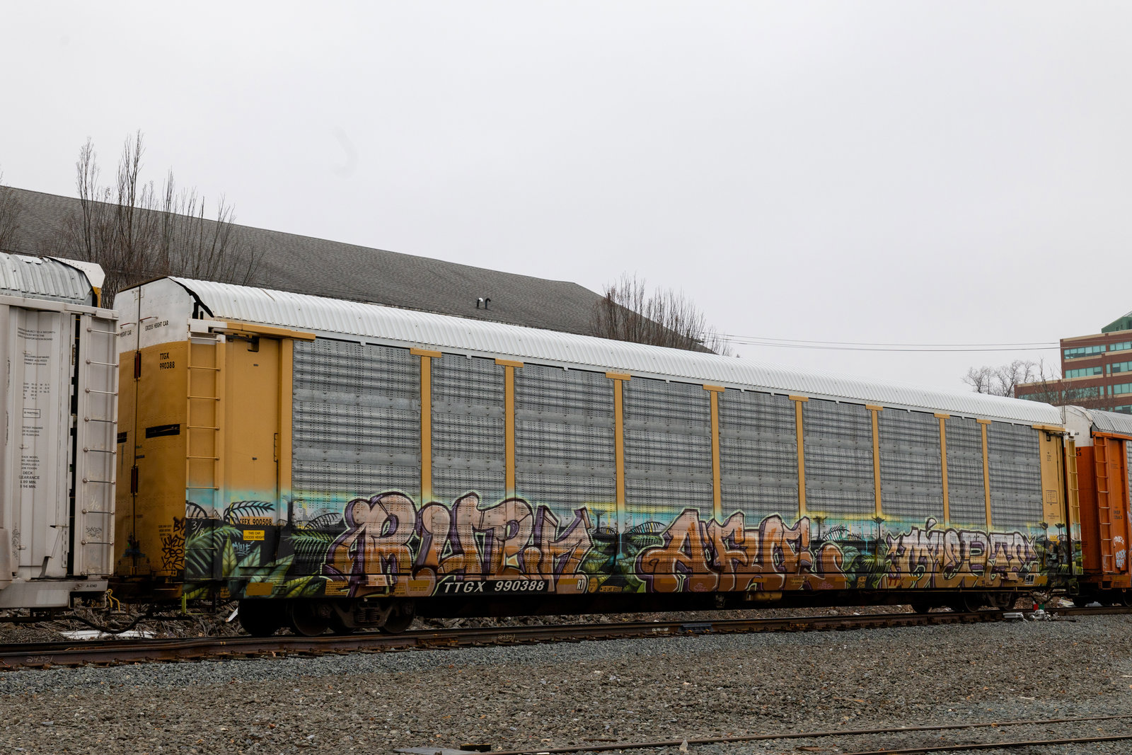 TTGX 990388