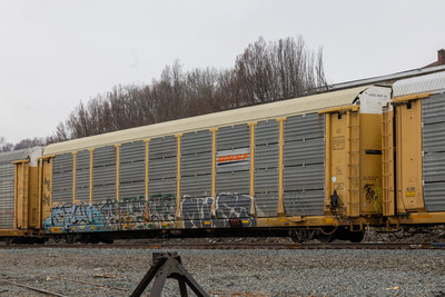 TTGX 973751