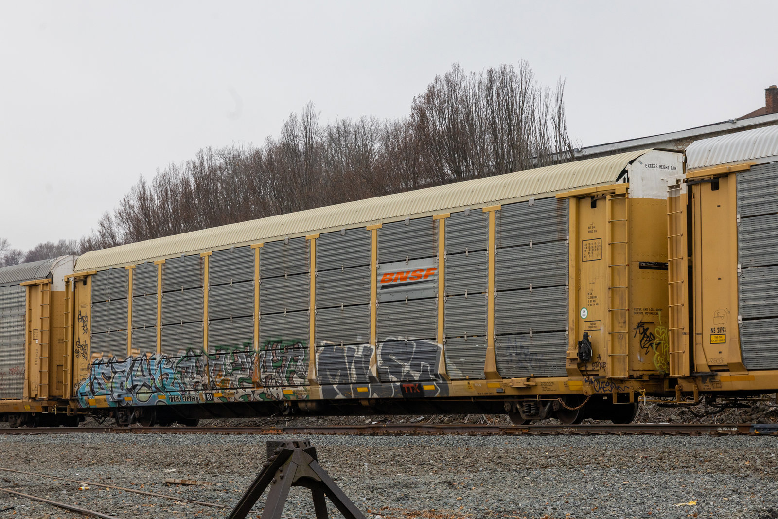 TTGX 973751