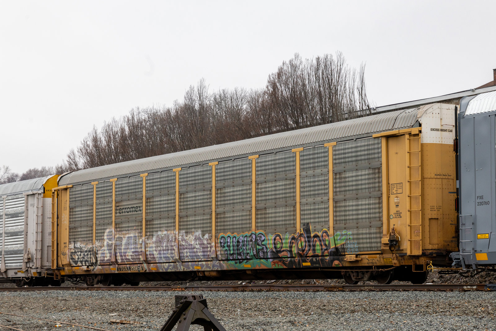 TTGX 255636