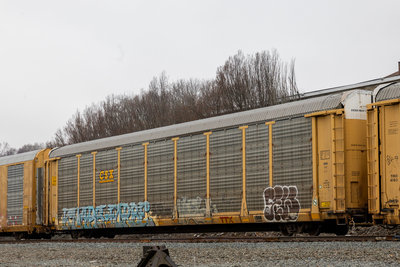 TTGX 996206