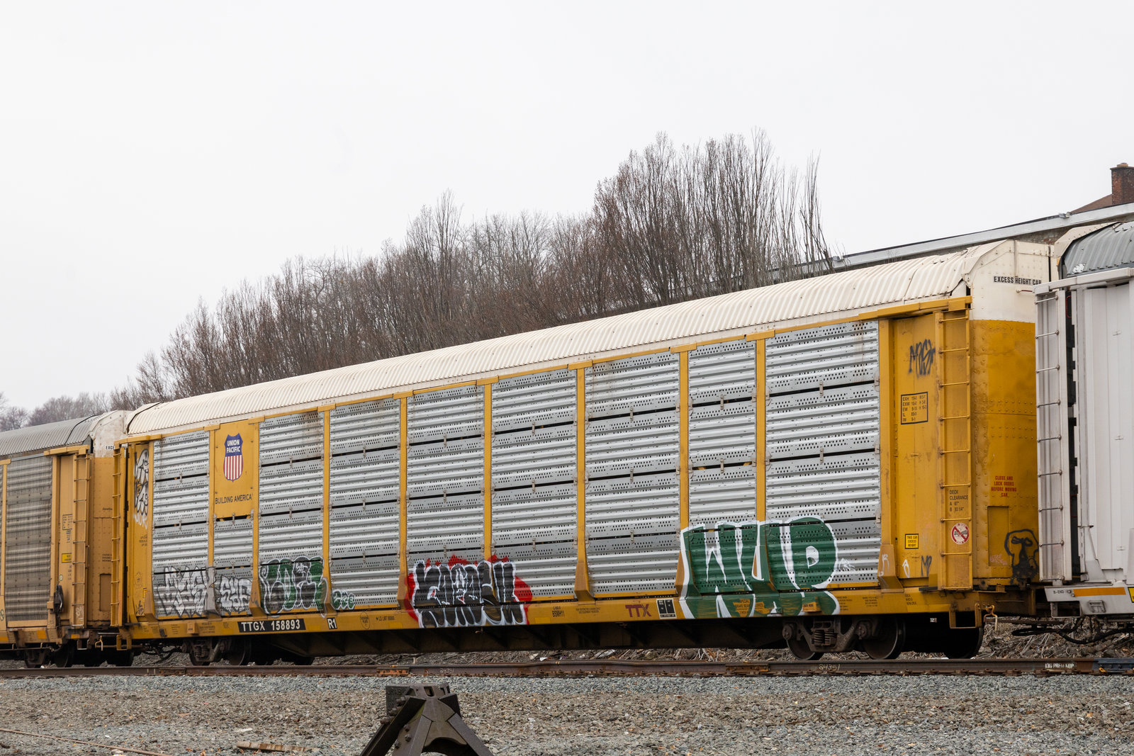 TTGX 158893