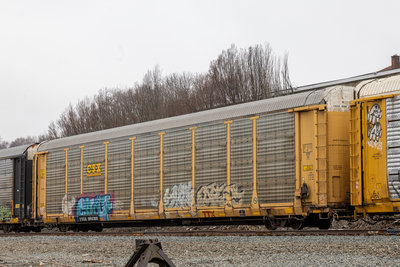 TTGX 986368