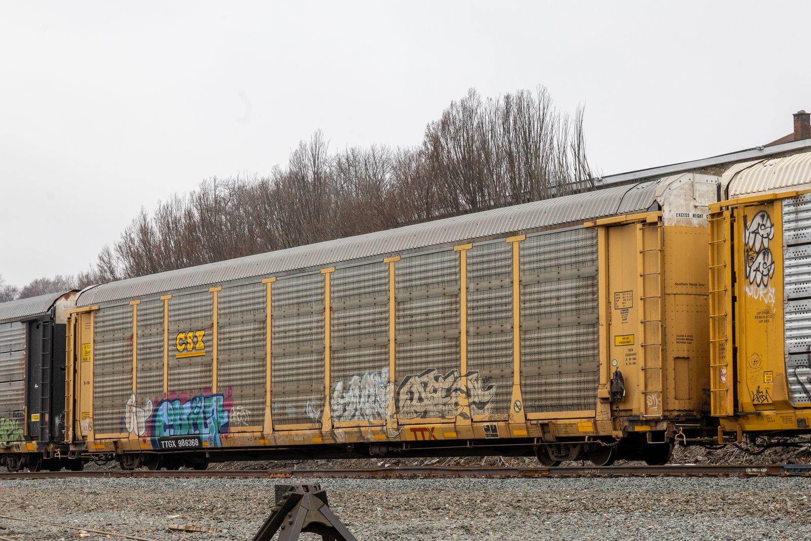 TTGX 986368