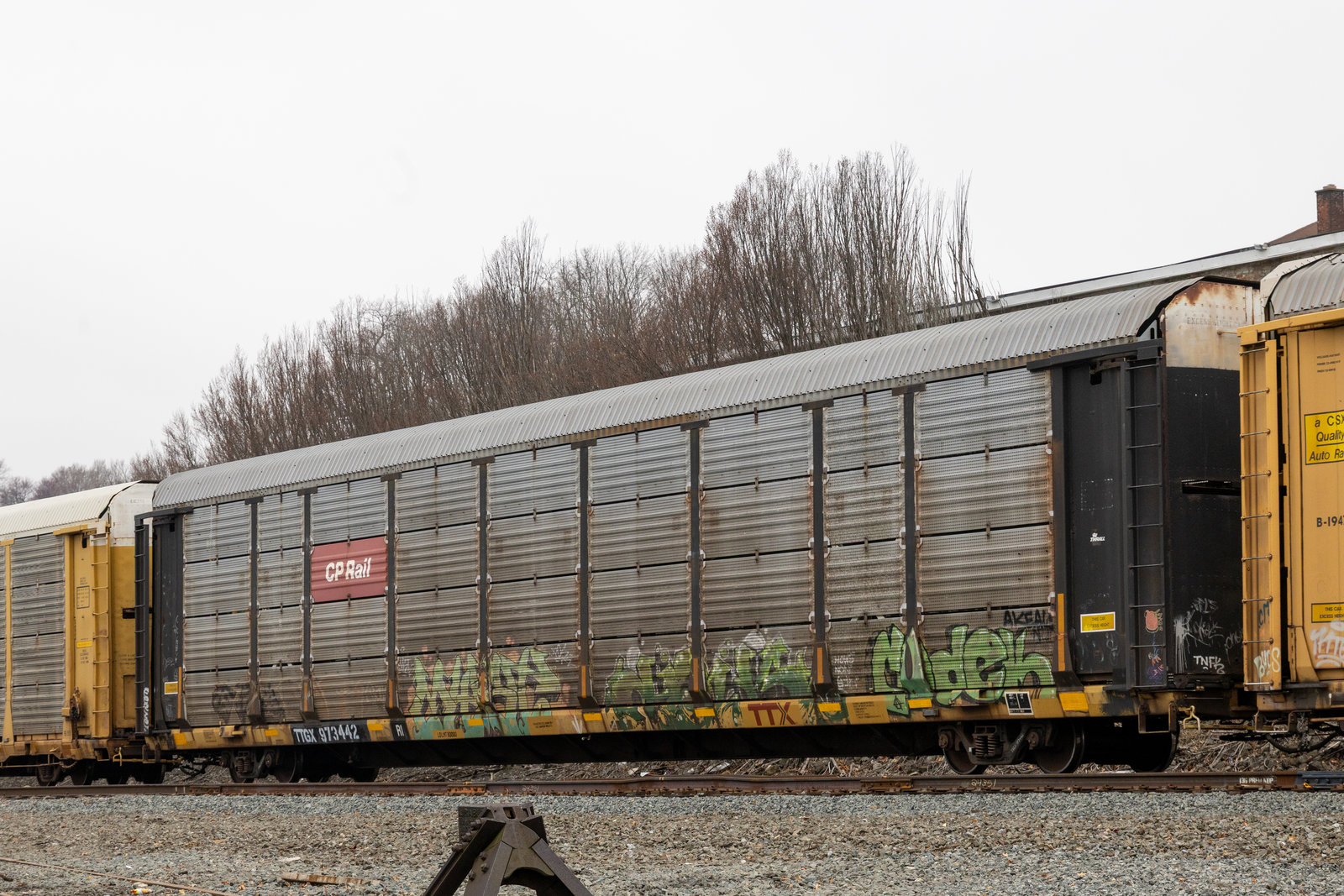 TTGX 973442