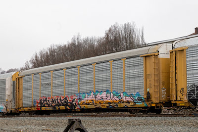 TTGX 975831