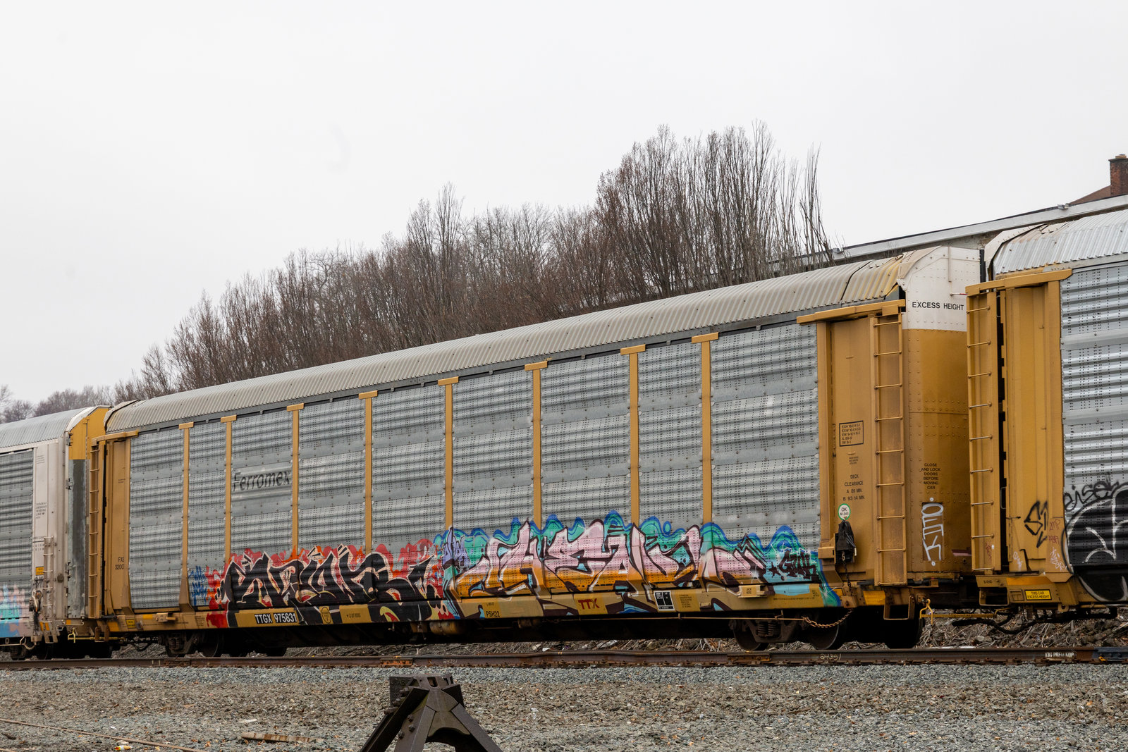TTGX 975831