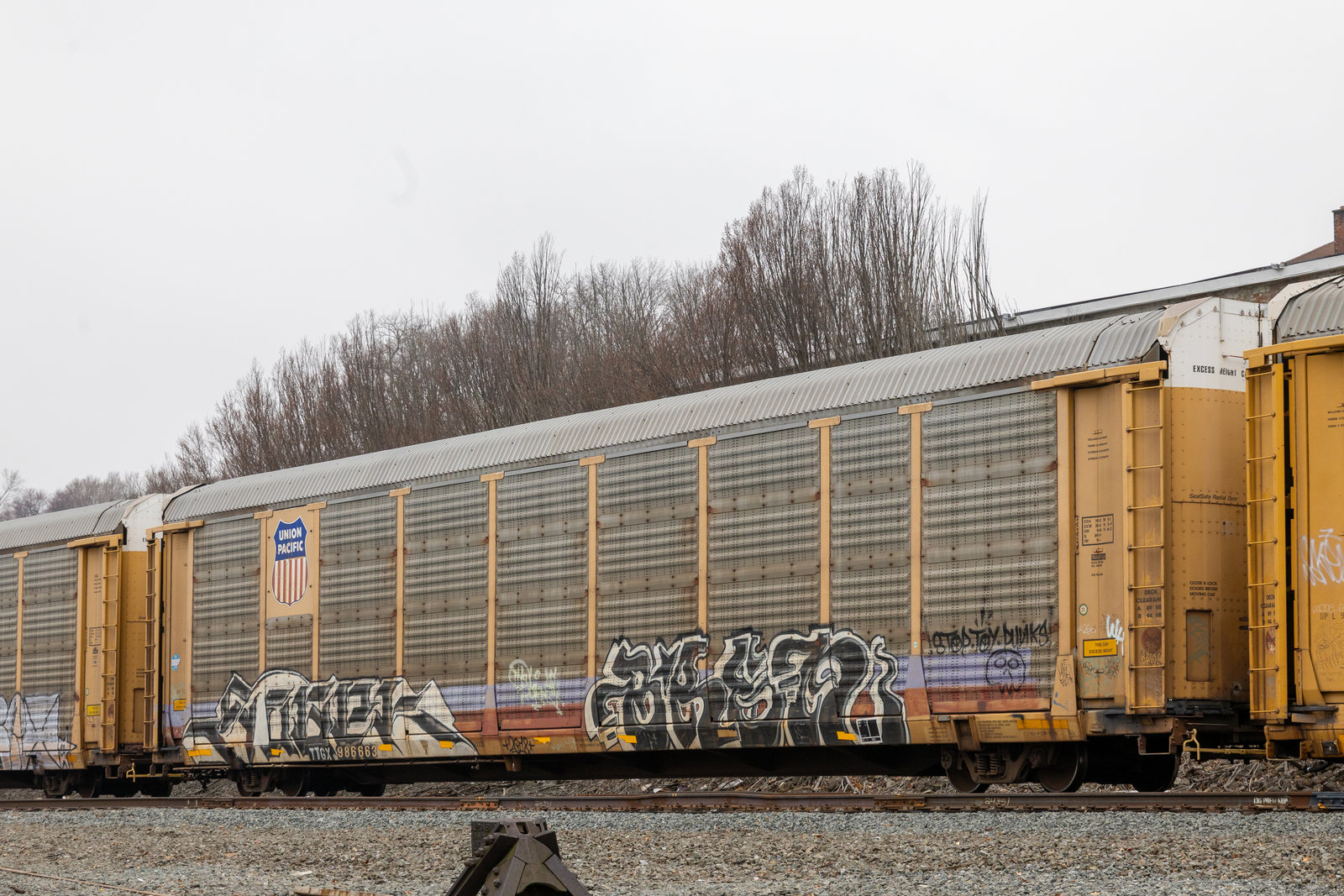 TTGX 986663