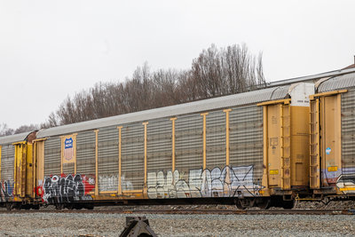 TTGX 985826