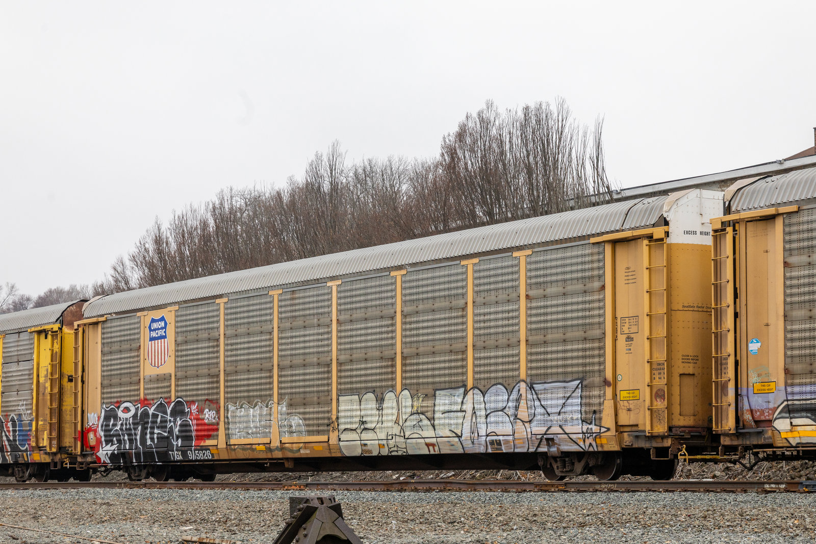 TTGX 985826