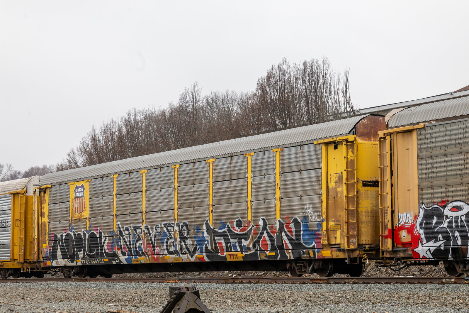 TTGX 964204
