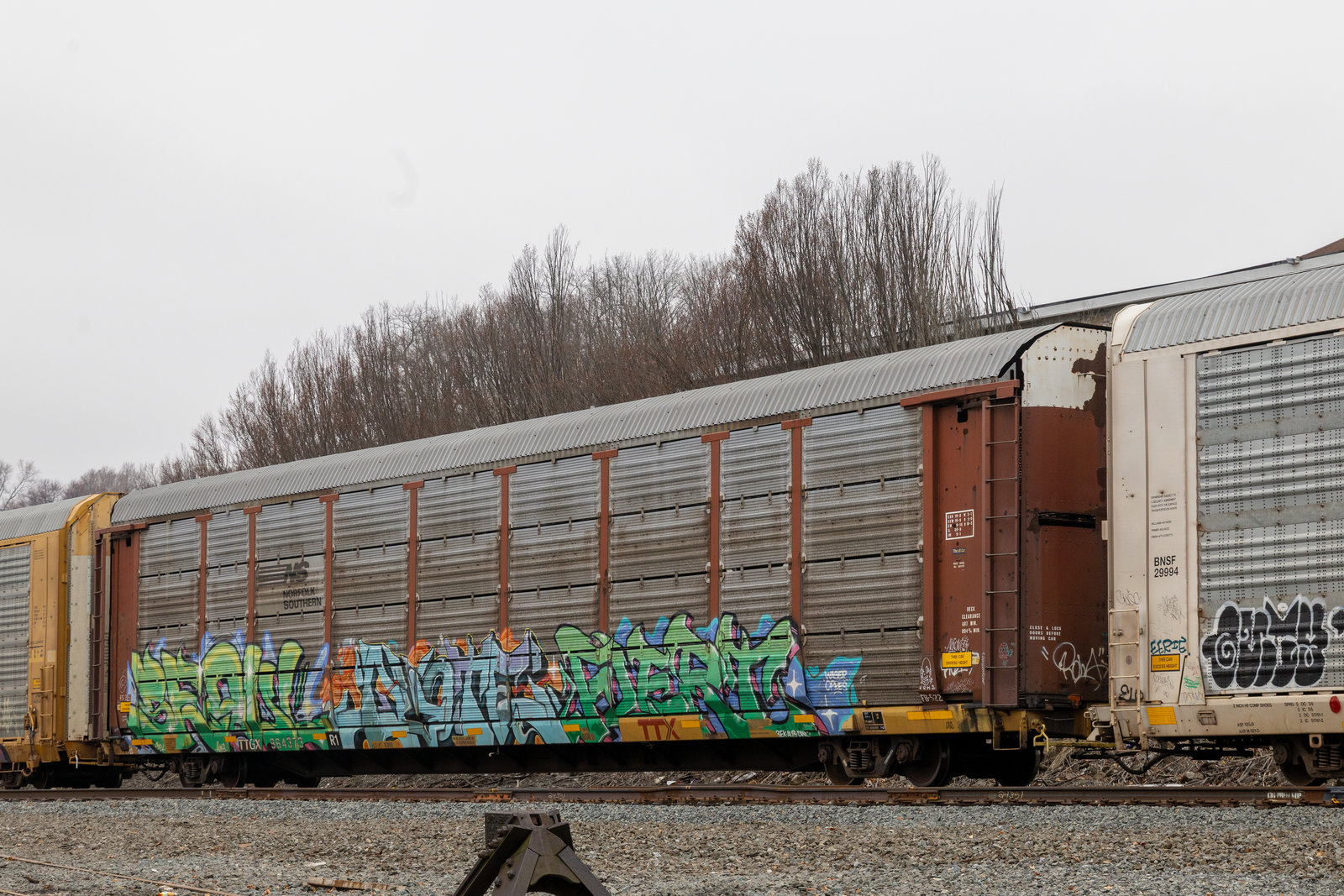 TTGX 964373