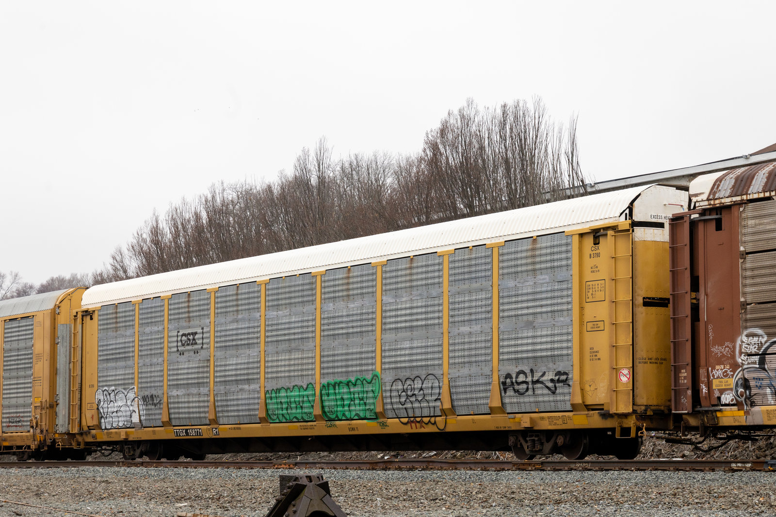 TTGX 158771