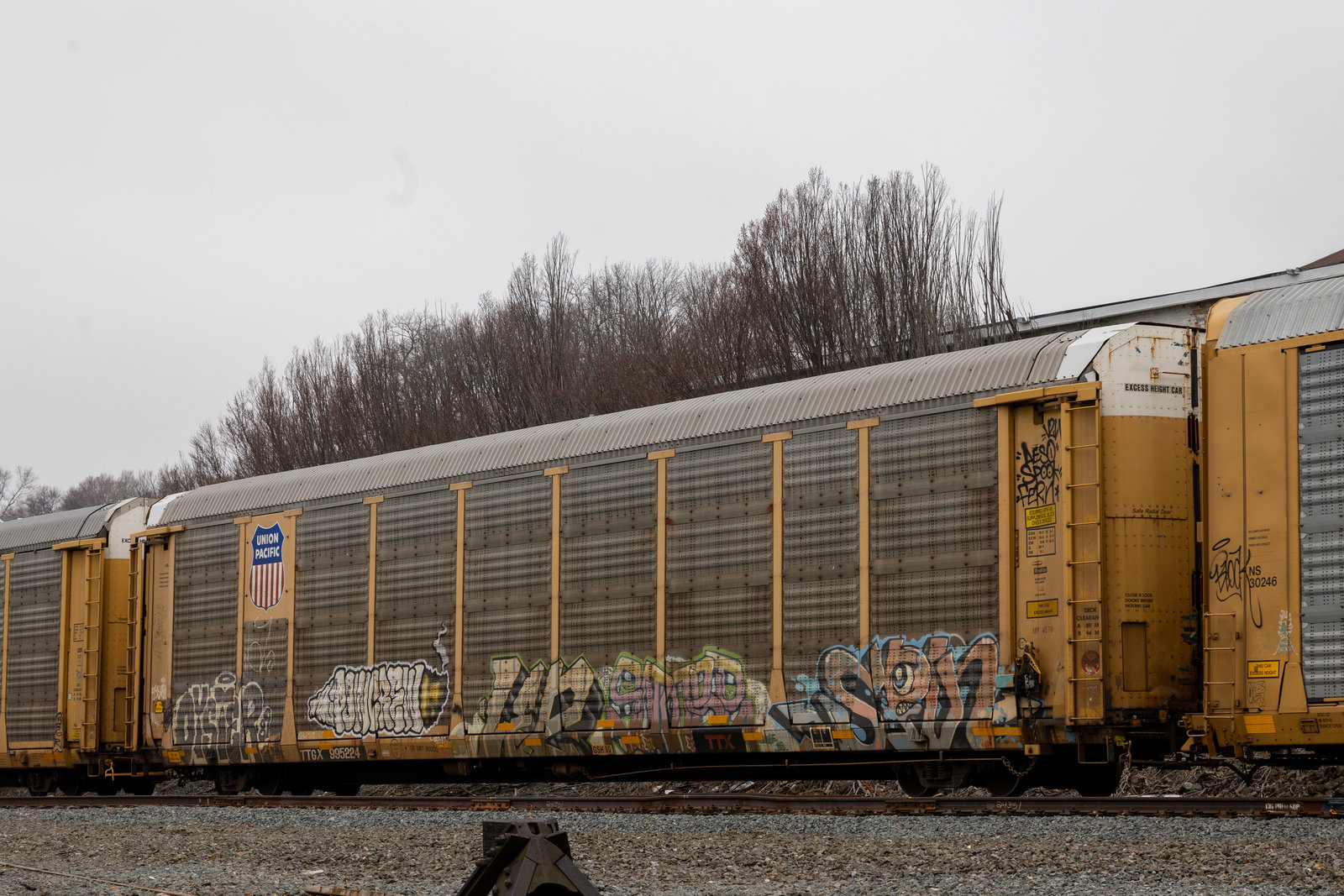 TTGX 995224