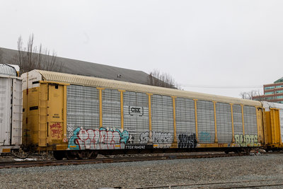 TTGX 964242