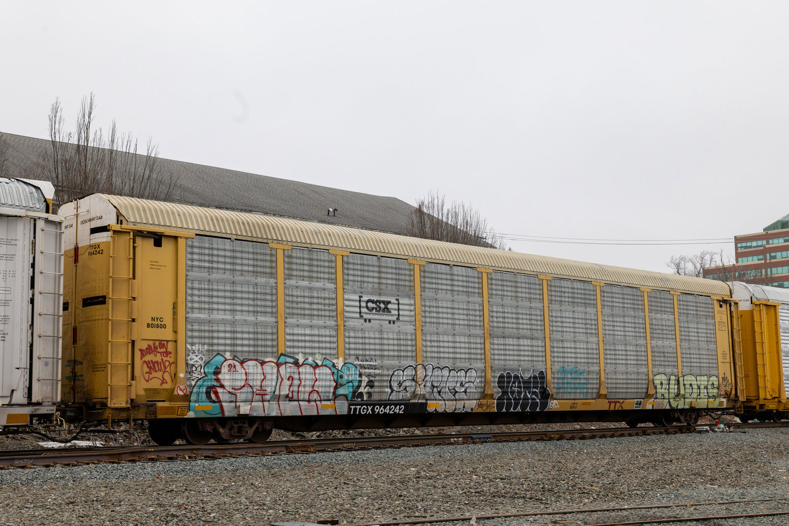 TTGX 964242
