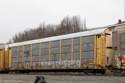 TTGX 255140
