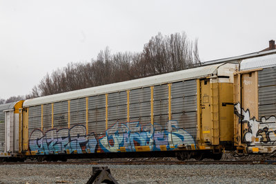 TTGX 254103
