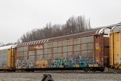 TTGX 254898